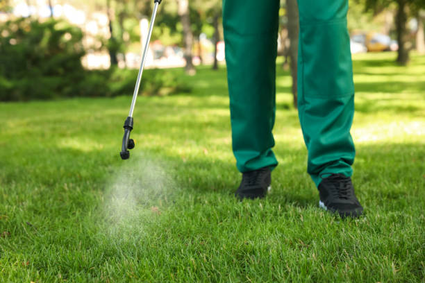 Pest Control Cost in Sawmills, NC