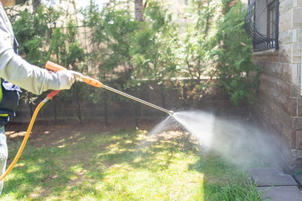 Best Pest Inspection Near Me  in Sawmills, NC