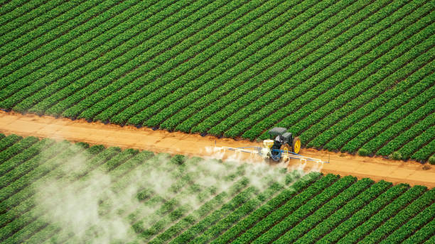 Best Pest Control Cost  in Sawmills, NC